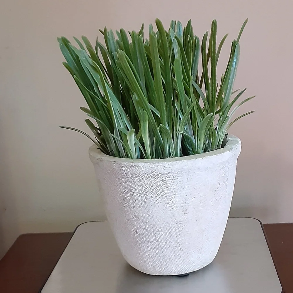 Potted Faux Grass Decor